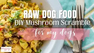 DIY Mushroom Scramble and  Meal Topper for My Dogs