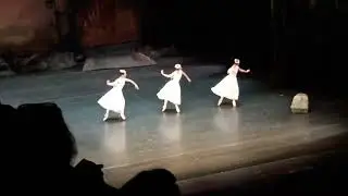 Сил, Новая, 29.10.2024
