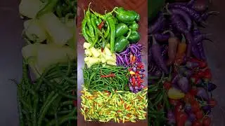 Showing Peppers October 2023 Harvest #homegarden #harvest