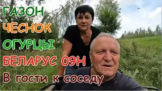 Заготовки на зиму.Косьба газона.В гости к соседу на мотоблоке.