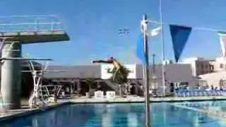 clown diving