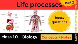 Life process| Intext question| class 10 chapter 5 | part 2