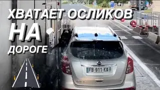 ХВАТАЕТ ОСЛИКОВ НА ДОРОГЕ