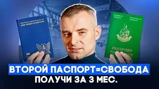 Второй паспорт как инвестиция. Две реальные опции в 2026 году для граждан РФ