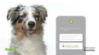 i3 Video Product Overview
