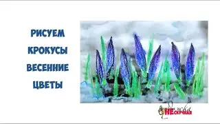 How to draw crocuses. Spring flowers.