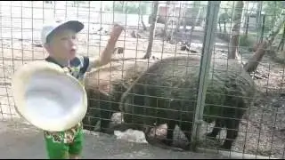 Зоопарк. Боровое. Казахстан.