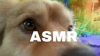 Пробую ASMR...