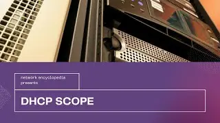 DHCP Scope - What is it? How to set up?