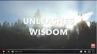 The Most Important Journey - Patrick Combs