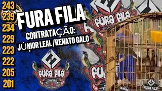 TRINCA FERRO FURA FILA, A PHENOMENON OF STYLE, AGGRESSIVENESS AND SPEED