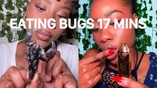 ASMR Eating Bugs for 17 mins by Kimberly Garland (black nerd asmr insta) 