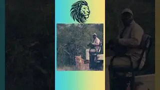 Photographer captures the moment a lion sneaks up on a safari group #safari #lionsafari #datashots