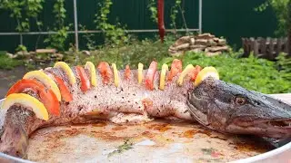 PIKE on the COALS. Recipe for pike on the grill.