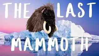 The Last Mammoth