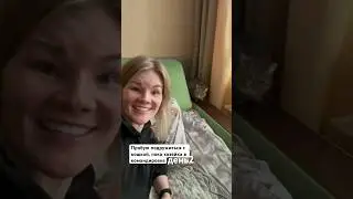 Подружимся или нет?