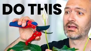 Your Plants Will Thrive The Moment You Do This