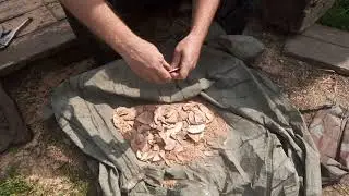 Заготовка щепы для коптильни /Harvest ingess for smokehouse