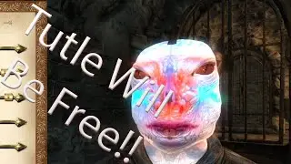 Oblivion Turtle The Tutle Escaping Prison
