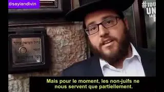 Quand Messiah arrivera chacun d’entre nous aura entre 2500 à 3000 esclaves goyims pour nous servir!