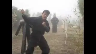 Got real Ninjutsu? or did you just get MILKED for your money?