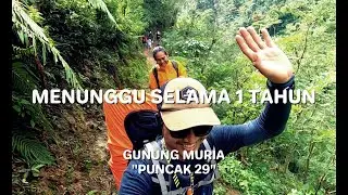 Menjelang Petang Di Puncak 29 - Gunung Muria
