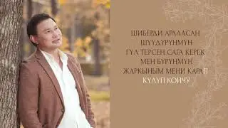 Султан Садыралиев - Бир озуно / Караоке