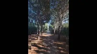 ROBOT SÜPÜRGE SESİ                      ( Bebek uyutmak ve ağlamayı kesmek için birebir )