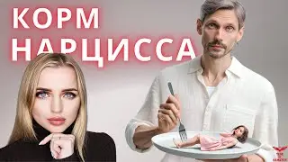КОРМ НАРЦИССА. Нарциссический ресурс.