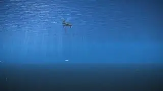 Minesto Tidal Kite Movement and Array