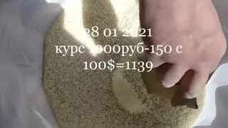 Бозори Конибодом Нархи бринч (гурунч)2021