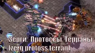 Зерги,  Протоссы, Терраны (zerg protoss terran)