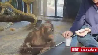 The best collection of jokes number 7