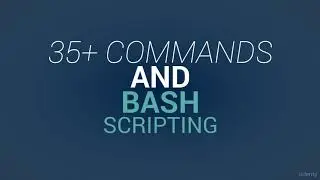 Linux Command Line Interface and BASH Scripting - learn Bash Shell