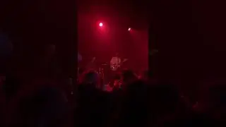 The Dandy Warhols 