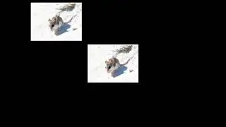 Aurateur Tts - Alabama Beach Mouse Rap