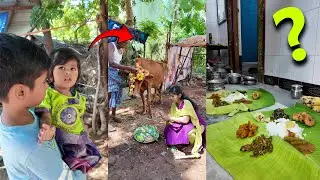 வீட்டுல சாமி கும்பிட்டோம் @CatAndRatOfficial  #trendingshorts #shortsvideo #vlogs