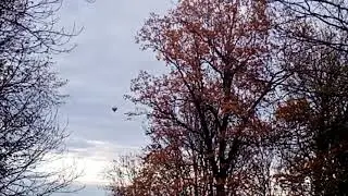 10 октября 2021 г.