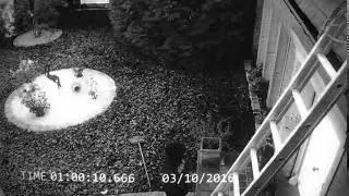 Security Cam Overlay Template for After Effects