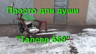 15. 3. 23. Просто для души  "Талсер 559"