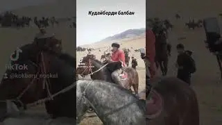 Кудайберди балбан федия балбандын аты менен бир эчкиге таштады #кыргызтан #казакыстан #озбекстан
