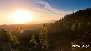 Зоримиз бор, зўримиз йўқ, Раҳим Карим, шеър
