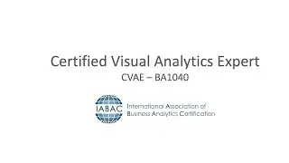 Certified Visual Analytics Expert Certification (CVAE – BA1040) - IABAC
