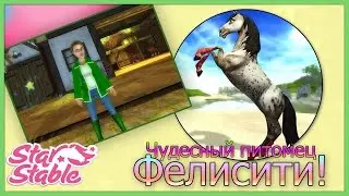 Let's Play Star Stable Online: 