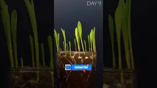 You won't believe your eyes! 🙀🔥                                         