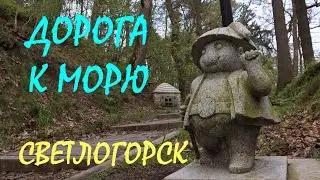 СВЕТЛОГОРСК _  Выход к морю _ Лучшие места для фотосессий _ Апрель 2024