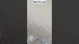 इस भारी बारिश में हमारी बाइक खराब हो गई | 