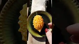 Что за зверь такой 
