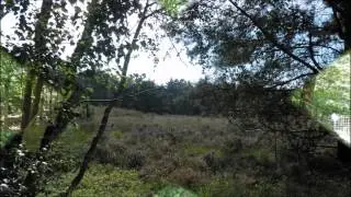 Het Geldersch Landschap 1