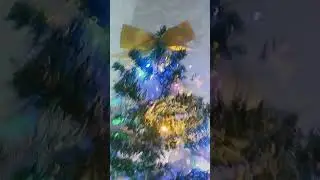 наша Ёлочка 🎄🎄✨✨